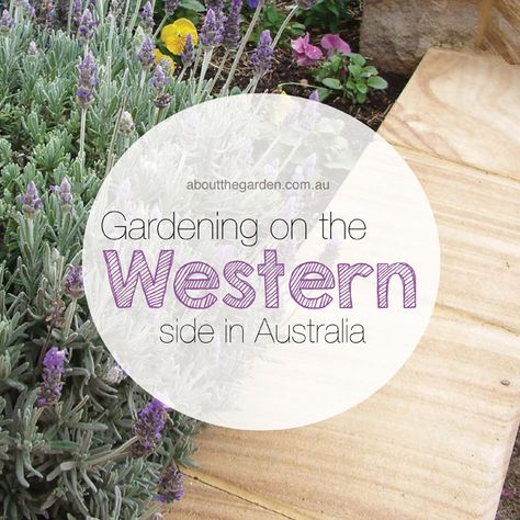 Gardening on the Western Side in Australia Garden Ideas Australia, Australia Garden, Garden Australia, Country Garden Design, Bush Garden, West Facing Garden, Australian Native Garden, Garden Magazine, Dig Gardens