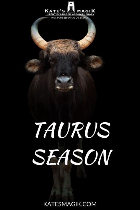 Taurus Characteristics, Zodiac Essential Oils, About Taurus, Sun In Taurus, Taurus Season, Astrology Meaning, Taurus Traits, Planet Venus, Zodiac Elements