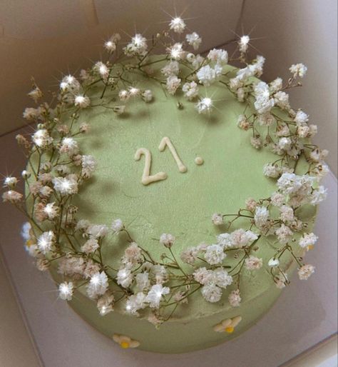 March Birthday Party Ideas, Sage Green Cake, 21st Bday Cake, Green Birthday Cakes, Comic Cake, Amazing Cake Decorating, Birthday Cake Roses, 21st Bday Ideas, Happy Birthday Decor