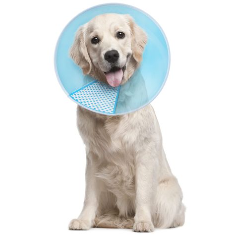 Supet Dog Cone Adjustable Pet Recovery Cone Collar Protective Collar for Dog After Surgery Anti-Bite Lick Wound Healing Safet Dog Cone Collar, Cone Collar, Dog Cone, Dog Safety, After Surgery, Dog Training Collar, Dog Neck, Large Dogs, Cat Breeds