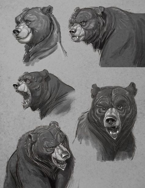 Character-Art-Bear-Expression-Study-Aaron-Blaise Bear Character Design, Aaron Blaise, Bear Drawing, Bear Character, Concept Art Character, Concept Art Drawing, Poses References, Wow Art, Bear Art