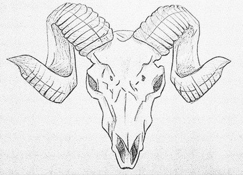 Rams Skull Drawing, Ram Horns Drawing, Ram Skull Drawing, Deer Skull Drawing, Skull Side View, Rams Horns, Grass Drawing, Zombie Drawings, Sheep Tattoo