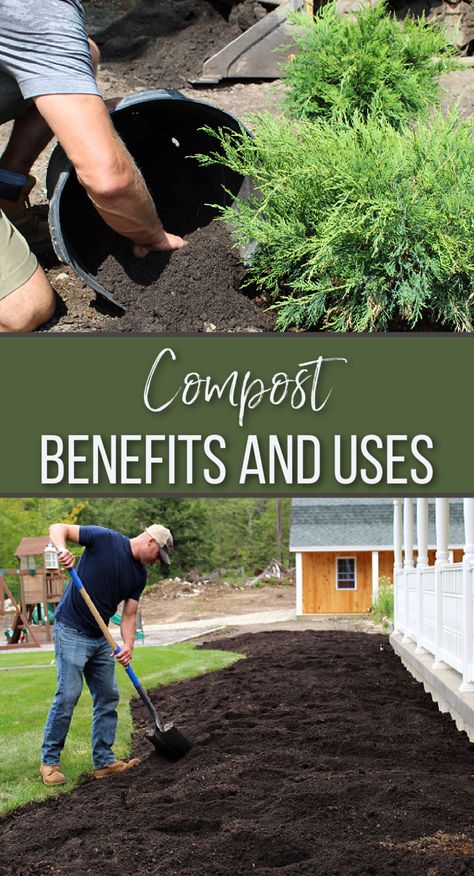 top is man dumping compost into base of plant, bottom is man shoveling a large garden bed with compost Odd Plants, Manure Composting, Building A Retaining Wall, Cow Manure, Farm Layout, Weird Plants, Backyard Farming, Container Garden, Composting