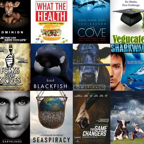 "The capacity to learn is a gift. The ability to learn is a skill. The willingness to learn is a choice." Here are our Top 16 must-see documentaries that will change your life: http://worldofvegan.com/vegan-documentaries/ Vegan Documentaries, How To Become Vegan, Study Planner Printable, Vegan Guide, Life Mission, Netflix Documentaries, Best Documentaries, Military Units, Plant Based Lifestyle