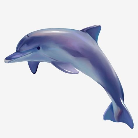 Ikan Png, Ikan Lumba Lumba, Dolphin Icon, Superhero Illustration, Ocean Png, Blue Fireworks, Dolphin Art, Blue Dolphin, Cat Air