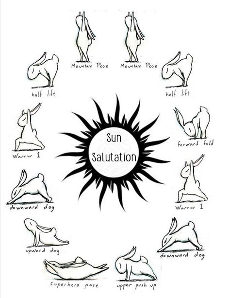 Sun Salutation: Demonstrated by Bunnies Art:Brian Russo http://bunnyoga.com/index.html Goes Clockwise Bunny Yoga, Yoga Relaxation, Yoga Girls, Sup Yoga, Yoga Posen, Yoga Outfit, Easy Yoga Workouts, Pose Yoga, Sun Salutation