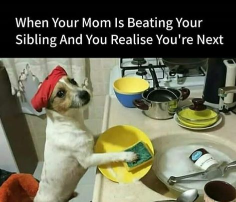 Siblings Funny Quotes, Siblings Funny, Epic Fail, Funny School Jokes, Funny Images Laughter, Crazy Funny Memes, Cute Funny Quotes, Humor Memes, Friends Quotes Funny