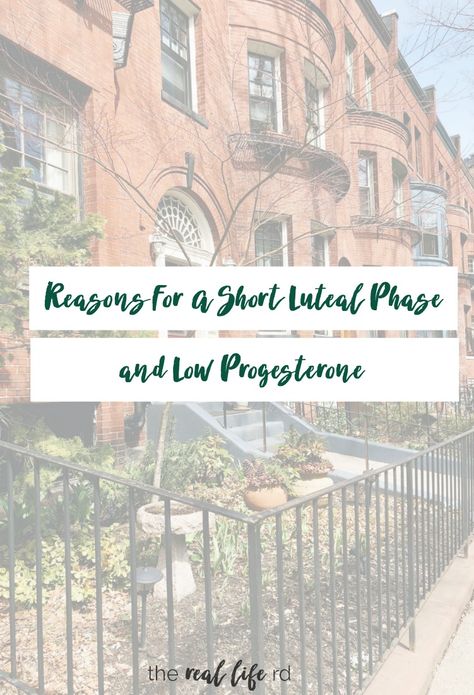 Luteal Phase Defect, Short Luteal Phase, Cycle Diet, Low Progesterone, Luteal Phase, Waxing Moon, Baby Vision, Waning Moon, Progesterone Levels