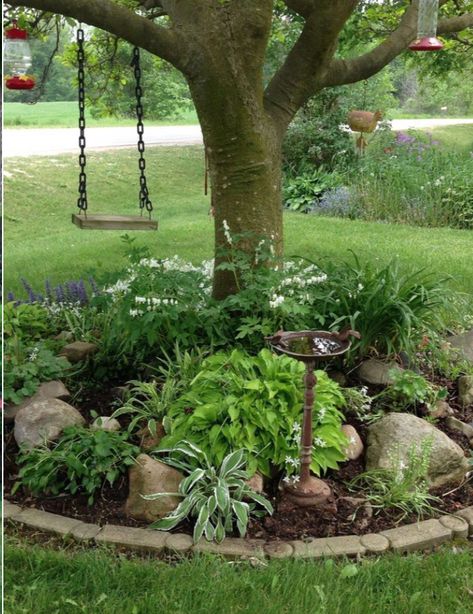 Plants Under Trees, Landscaping Around Trees, Front Yard Design, Landscape Edging, Magnolia Trees, Have Inspiration, Fall Outdoor Decor, Landscaping Tips, Landscaping With Rocks