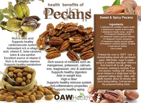 Pecans rank highest among all nuts and are among the top category of foods to contain the highest antioxidant capacity Benefits Of Pecans, Matcha Benefits, Lemon Benefits, Coconut Health Benefits, Stomach Ulcers, Organic Butter, Benefits Of Coconut Oil, Nuts And Seeds, Matcha Green Tea