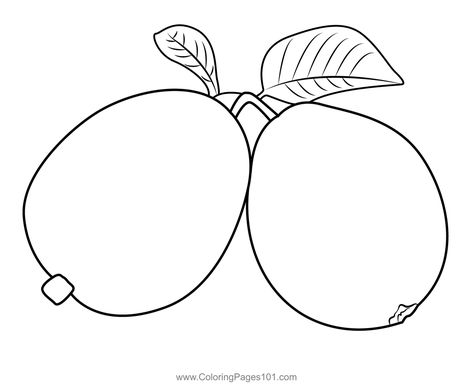 Green Guava With Leaf Coloring Page Guava Drawing, Guava Coloring Page, Leaf Coloring Page Free Printable, Guava Illustration Design, Guava Leaf Tea, Leaf Coloring Page, Leaf Coloring, Free Kids, Printable Coloring