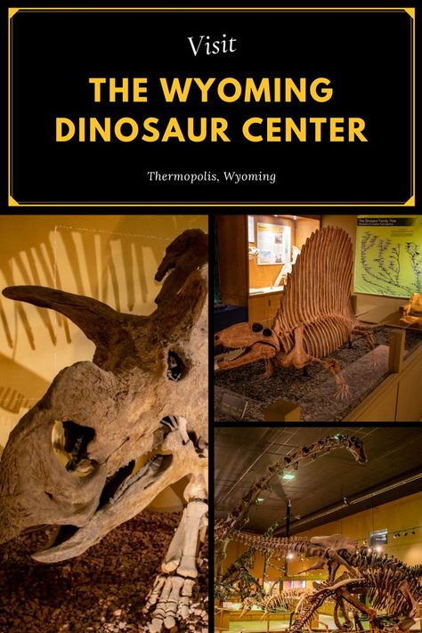 Family fun adventures can be had in Thermopolis, Wyoming at the Wyoming Dinosaur Center. Learn about several different species of dinosaurs and the prehistoric landscape of Wyoming. Vistors can watch as real scientists clean and piece together fossilized skeleton and even participate in digs on location in the area. Visit Wyoming and travel back in time. Dinosaur Dig Site, Thermopolis Wyoming, Prehistoric Landscape, Dinosaur Dig, Dinosaur Museum, Wyoming Travel, The Oregon Trail, Fun Adventures, Things To Do With Kids