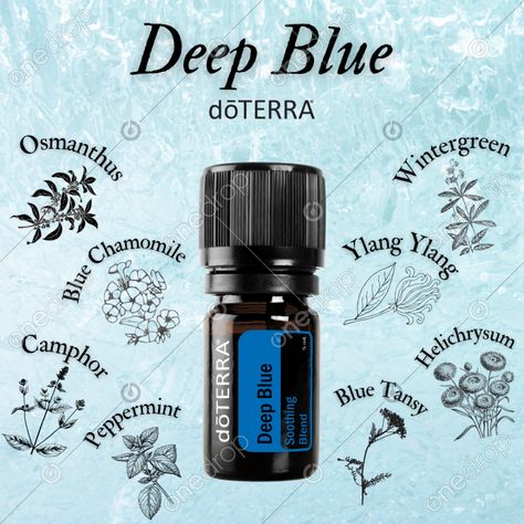 Deep Blue - English #deep blue #sore muscles #muscle tension #muscle pain #soothing blend #wellnessadvocate #doterra #wellnessstockphotos #onedropdesigns #doterrawellnessadvocate #doterratips #doterragraphics #doterraphotos Doterra Wintergreen, Deep Blue Doterra, Doterra Wellness Advocate, Blue Tansy, Muscle Tension, Muscle Pain, Sore Muscles, Doterra, Deep Blue