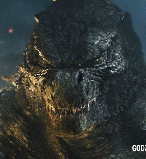 Legendary Godzilla, Angry Look, Godzilla Monsterverse, King Kong Vs Godzilla, Godzilla And Kong, Godzilla Movie, Godzilla 2014, King Ghidorah, Monster Verse