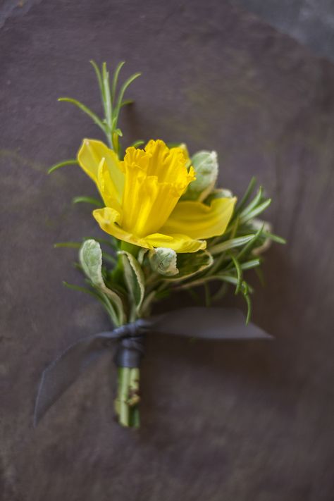 Daffodil buttonhole or place setting. #woodlandwedding springwedding #yellow #daffodil Yellow Daffodil Bouquet, Daffodil Wedding Centerpieces, Daffodil Buttonhole, Daffodil Wedding Bouquet, Daffodil Bridal Bouquet, Daffodil Bouquet Wedding, Daffodil Brooch, Daffodil Wedding, Mummy Birthday