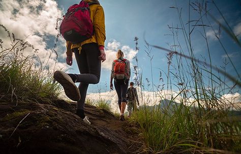 Situational Awareness | Embracing Your Inner Yoda | Survival Life Utah Hikes, Puntarenas, Hiking Essentials, Hiking National Parks, Survival Life, Great Smoky Mountains National Park, Smoky Mountain National Park, Smoky Mountain, Destination Voyage