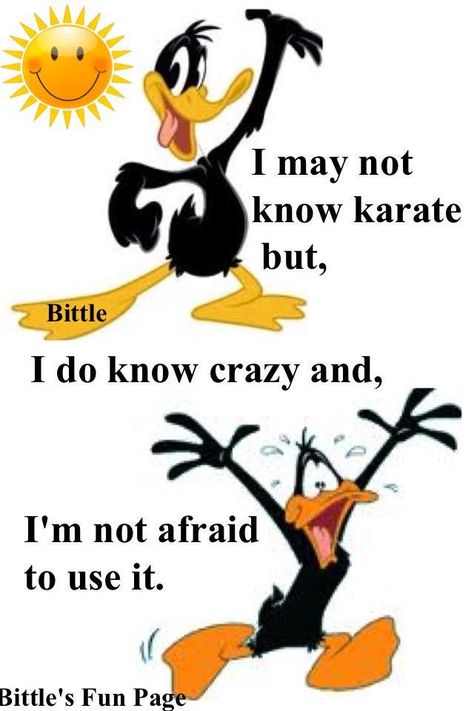 Daffy Duck Quotes, Duck Quotes, Funny Minion Memes, Funny Day Quotes, Elmer Fudd, Funny Cartoons Jokes, Funny Good Morning Quotes, Funny Quotes Sarcasm, Witty Quotes