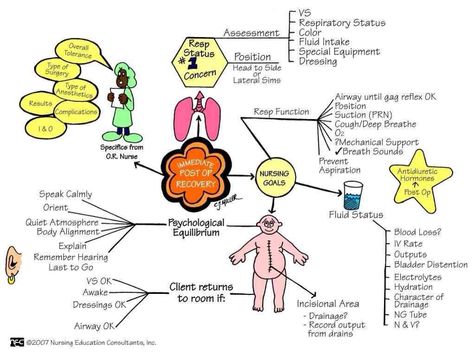 Immediate post-op recovery Peri Operative Nursing, Postoperative Nursing, Musculoskeletal Nursing, Nursing Management, Pacu Nurse, Pacu Nursing, Perioperative Nursing, Nursing Study Tips, Med Surg Nursing