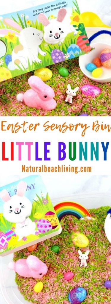 This Bunny Sensory Bin is a fun Spring Sensory Activity for toddlers and preschoolers. Gather up a few simple supplies for cute Spring Book Activities with Sensory play and your kids will be exploring and learning all season long. Bunny Sensory Bin, Easter Printables Preschool, Sensory Activity For Toddlers, Sensory Bin For Toddlers, Spring Kids Activities, Spring Sensory, April Ideas, Bunny Activities, April Activities