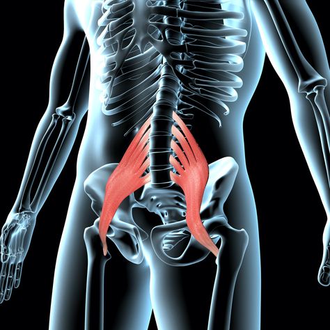 Psoas Muscle Pain - What It Feels Like and How To Fix It Psoas Muscle Pain, Sartorius Muscle, Muscles Anatomy, Psoas Stretch, Tensor Fasciae Latae, Psoas Release, Referred Pain, Back Muscle, Chronic Lower Back Pain