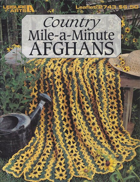 Mile A Minute Crochet, Crochet Mile A Minute, Crochet Pattern Afghan, Ripple Afghan Pattern, Fountain City, Ripple Afghan, Afghans Crochet, Crochet Afghan Patterns Free, Popular Crochet