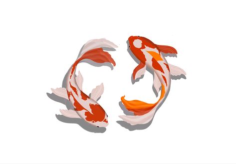 Amo estos pecesitos 💧 #pez #peces #koifish #ilustracion #ilustraciondigital #drawing #drawingideas #procreate #koi #koiilustration #ilustrator Japanese Aesthetic, Koi Fish, Koi, Fish, Drawings, Art