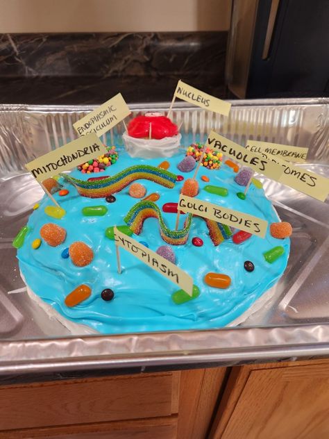 High school science project! Plants Science Project, Plant Cell Cake, High School Science Projects, Plant Cell Project, Animal Cell Project, Science Cake, Plant And Animal Cells, High School Project, Cells Project