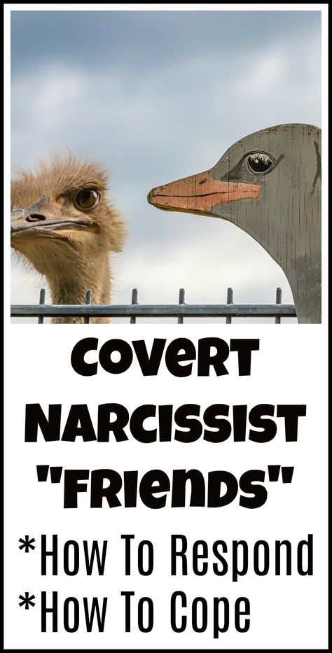 Narcisstic Female Friends, Narcissistic Friend Woman, Female Covert Narcissistic Behavior, Covert Narcissistic Behavior Female, Narcisstic Friends, Vulnerable Narcissistic Behavior, Covert Narcissistic Female, Covert Narcissistic Behavior, Narcissistic Friends