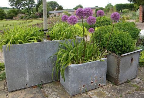 Galvanised Trough Planter, Water Tank Planter, Galvanised Planter Ideas, Galvanised Planter, Concrete Trough, Plant Troughs, Garden Troughs, Zinc Planters, Galvanized Planters