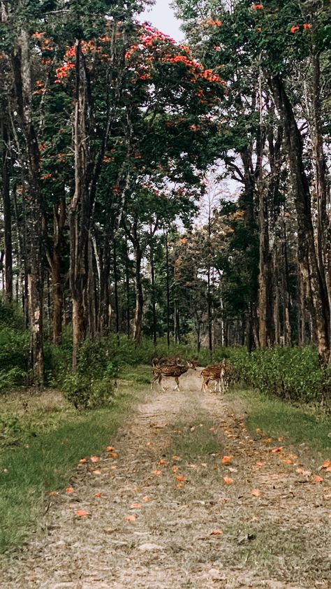 Wayanad stories Instagram Story, Quick Saves, Instagram