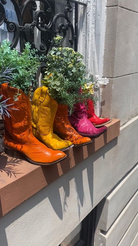 Plants and Cowboy Boots Western Disco Decor, Cowboy Boot Vase With Flowers, Cowboy Boot Flower Arrangement, Hippies And Cowboys Party, Cowboy Boot Flower Vase, Tropical Cowboy, Boho Western Party, Cowboy Boot With Flowers, Cowboy Boots And Flowers