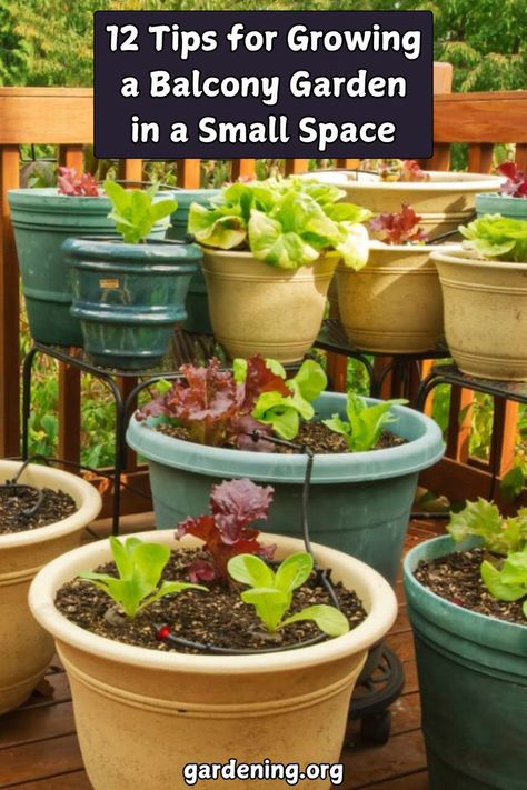 Discover 12 essential tips for growing a vibrant balcony garden in limited space! Transform your small outdoor area into a green oasis today. Patio Garden Ideas Apartment, Small Outdoor Area, Apartment Vegetable Garden, How To Grow Vegetables, Balcony Gardening, Railing Planters, Grow Vegetables, Green Oasis, Square Foot Gardening