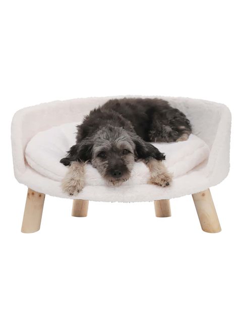 BingoPaw Elevated Pet Bed,Nordic Pet Stool Bed with Cozy Pad Waterproof,Pet Chair with Sturdy Wood Legs for Small Dog Kitten(22"(dia)x13") | SHEIN USA Dog Chair, Animal Chair, Cat Kennel, Elevated Dog Bed, Dog Couch, Pet Sofa Bed, Pet Sofa, Warm Bed, Mini Dogs