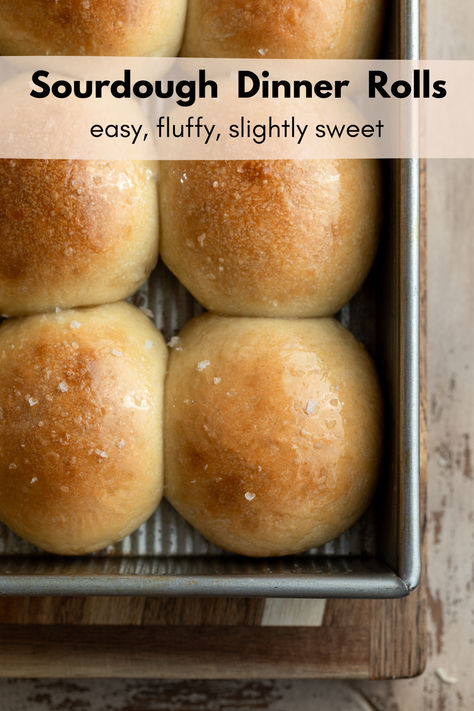 golden brown glossy dinner rolls in pan still Thanksgiving Sourdough Rolls, Sourdough Sweet Rolls, Sourdough Dinner, Christmas Rolls, Sourdough Dinner Rolls, Dinner Rolls Easy, Sweet Dinner Rolls, Sourdough Rolls, Almond Flour Bread