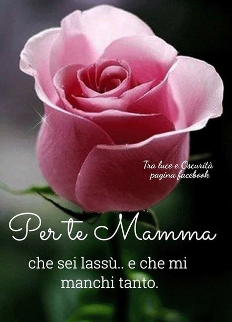 Mamma In Cielo, Facebook Cover, Instagram Posts, Instagram