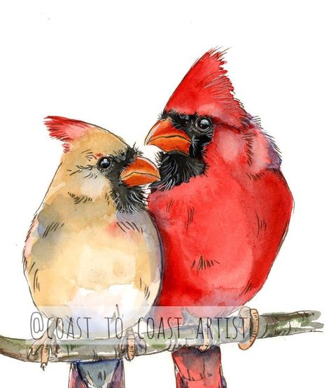 Print: Beautiful Red Cardinal Pair Male and Female Watercolor Painting, Winter, Tree, Love, Anniversary Birthday Spirit - Etsy Watercolor Cardinals, Cardinal Watercolor Painting, 2024 Watercolor, Cardinal Pair, Cardinal Birds Art, Cardinal Watercolor, Mini Sketchbook, Bird Painting Acrylic, Cardinal Painting