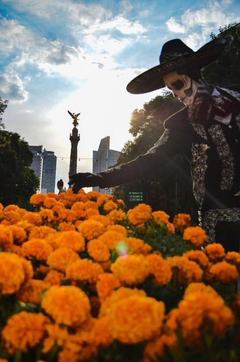 Dia De Los Muertos Decorations Ideas, Latino Culture, Aztec Culture, Mexican Heritage, Mexico Culture, Landscape Photography Nature, Fantasy Places, Mexican Culture, Mexican Art