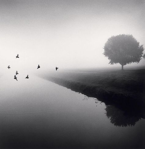 Michael Kenna Photography Landscapes, Michael Kenna Photography, Black And White Landscape Photography, Michael Kenna, Work Images, Bw Photography, Black And White Landscape, Photographic Artist, Famous Photographers