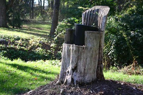 7 Ways to Give New Life to Dead Trees in Your Backyard Fallen Tree Projects Ideas, Dead Tree Ideas, Creepy Tree Diy, Skeleton In Tree Halloween, Wood Craft Ideas, Dead Forest, Sustainable Eating, Green Interior Design, Dead Tree