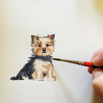 Yorkie Painting, Top Dog Breeds, Tattoo Dog, Animals Watercolor, Yorkie Terrier, 강아지 그림, Yorkshire Terriers, Yorkshire Terrier Puppies, Lap Dogs