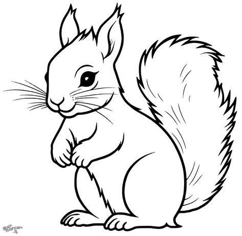 Drawing Squirrel, Cartoon Squirrel, Squirrel Painting, Autumn Animals, Fall Drawings, Farm Animal Coloring Pages, Bunny Coloring Pages, Art Drawings For Kids, Cute Coloring Pages