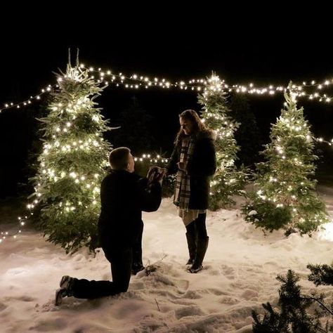 Winter Proposal Ideas Engagement, Tree Farm Proposal, Graduate Masters, Proposal Ideas Simple, Wedding Proposal Ideas Engagement, Surprise Proposal Pictures, Outdoor Proposal, Cute Proposal Ideas, Winter Proposal