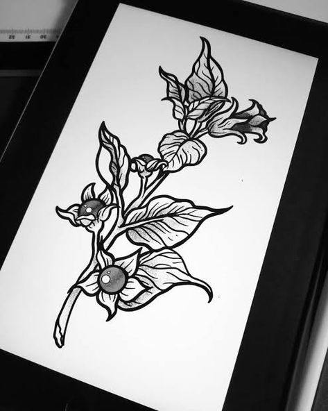 Goddess Hecate, Deadly Nightshade, Engraving Tattoo, Plant Tattoo, Botanical Tattoo, Tattoo Illustration, Book Tattoo, Time Tattoos, Tattoo Removal