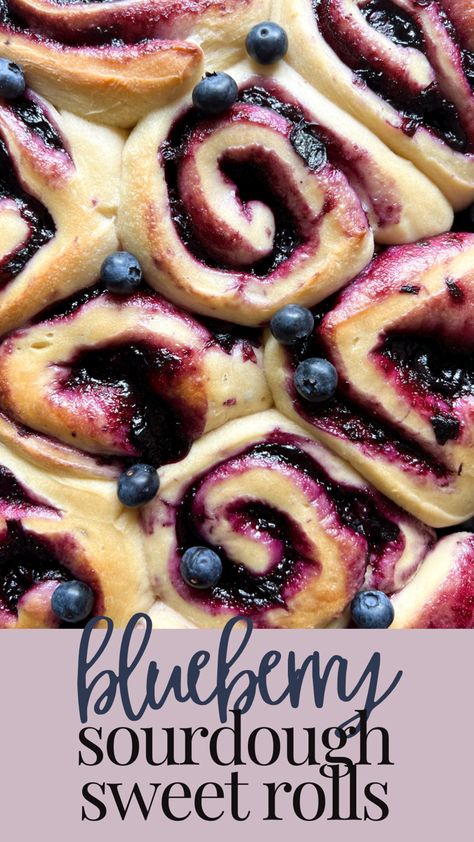 Sourdough Dessert, Blueberry Sourdough, Sourdough Bagel, Blueberry Sweet Rolls, Sourdough Ideas, Blueberry Cinnamon Rolls, Recipe Using Sourdough Starter, Sourdough Rolls, Sourdough Cinnamon Rolls