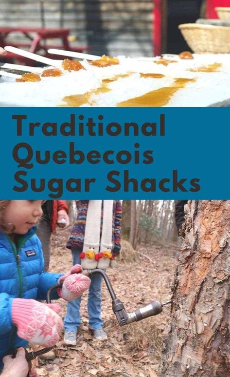 Traditional Quebecois sugar shacks: we look at one major aspect of traditional Quebecois culture: the traditional Quebecois sugar shacks. We also include a couple of fun recipes to do with the kids below: tire la neige and maple syrup pie. Maple Syrup Pie, Reggio Preschool, Maple Syrup Recipe, Tapping Maple Trees, Maple Baked Beans, Maple Syrup Recipes, Maple Candy, Canadian Culture, Teaching Elementary School