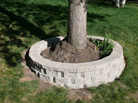 I began by removing the stacked limestone around an ash tree in the front yard and built a ring. Lawns Landscaping, Backyard Entertaining Space, Building A Stone Wall, Outdoor Hacks, Trees For Front Yard, Landscaping Around Trees, Front Yards Curb Appeal, Lawn Alternatives, Patio Pavers Design