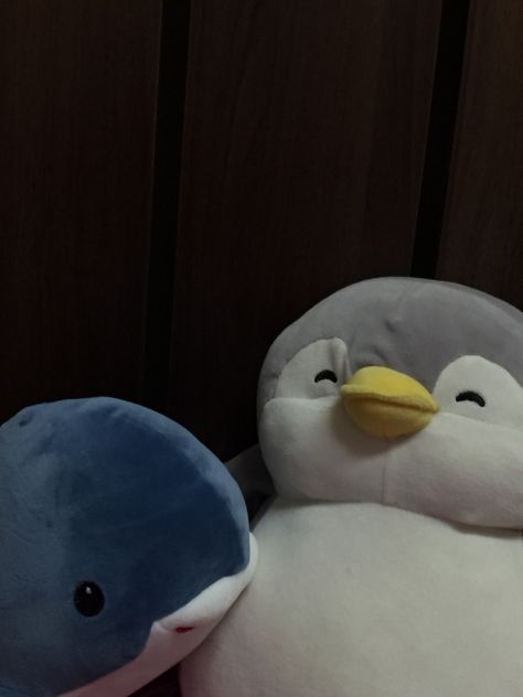 Whale Plushie Aesthetic, Aesthetic Whale Wallpaper, Penguin Plushie Aesthetic, Whale Pfp, Soft Toys Aesthetic, Whale Aesthetic, Whale Food, Penguin Soft Toy, Soft Foto