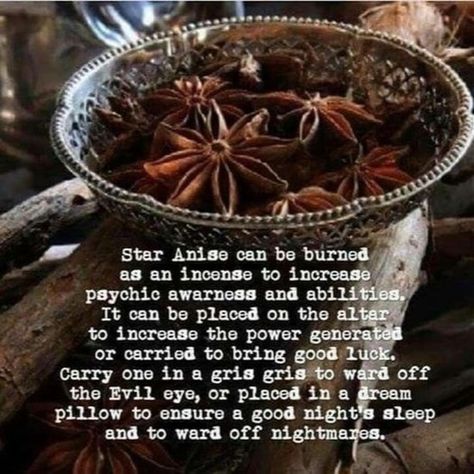 🌟✨ Star Anise: A Magical Star in Your Spice Rack! ✨🌟 Have you ever wondered about the hidden powers of the beautiful star anise? This star-shaped spice isn't just for adding flavor to your dishes; it's also packed with mystical properties! 🌿💫 🔮 Spiritual Protection: Star anise is believed to ward off negative energy and evil spirits. Carry a star anise pod in your pocket or place it near your entrance to keep your space energetically clear and protected. 🛡️✨ 🌠 Manifestation & Good Luck: Kn... Magickal Herbs, Witch Herbs, Magia Das Ervas, Magic Herbs, Witchy Tips, Kitchen Witchery, Magical Herbs, Eclectic Witch, Herbal Magic