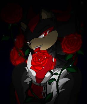 Vampire Shadow, Silver The Hedgehog, Sonic Funny, Hedgehog Art, Shadow Art, Sonic And Shadow, Amy Rose, Sonic Art, Shadow The Hedgehog