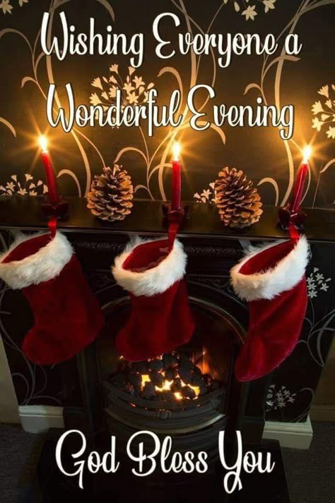 Christmas Good Night Quotes, Christmas Good Night, Beautiful Christmas Quotes, Family Christmas Quotes, Christmas Card Wishes, Good Evening Wishes, Christmas Thoughts, Evening Quotes, Merry Christmas Family